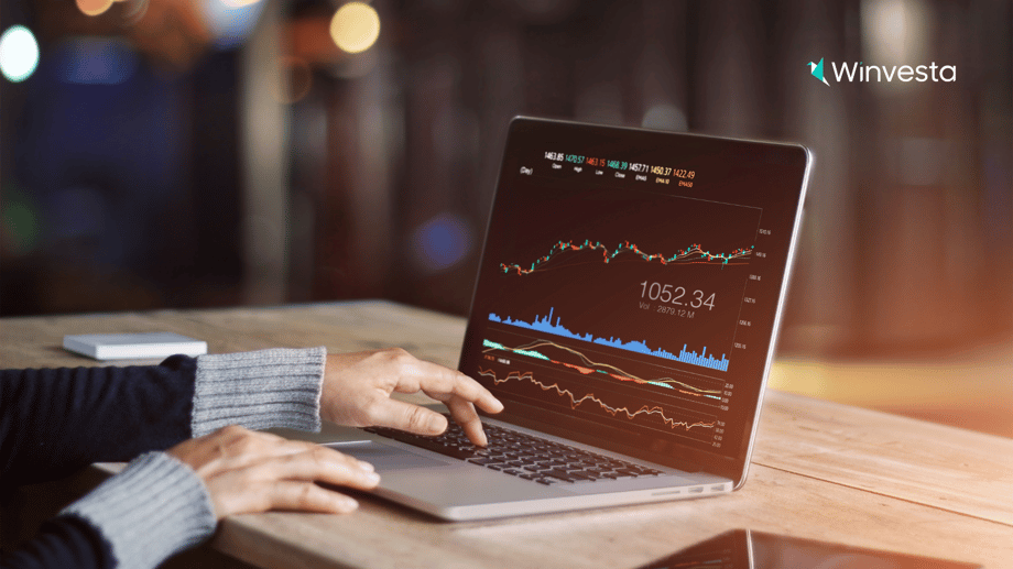 Master market volatility strategies: A guide for U.S. investors